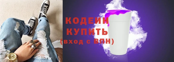 гашик Билибино