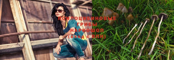 каннабис Кукмор