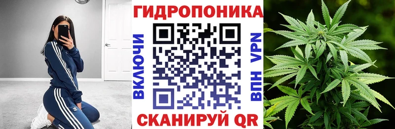 Бошки Шишки семена Лянтор